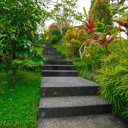 Green Coconut Cottage