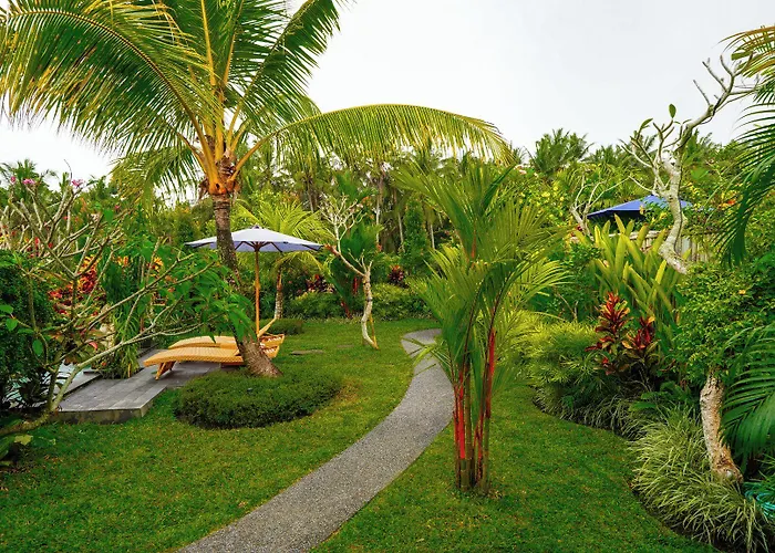 Coconut 4*