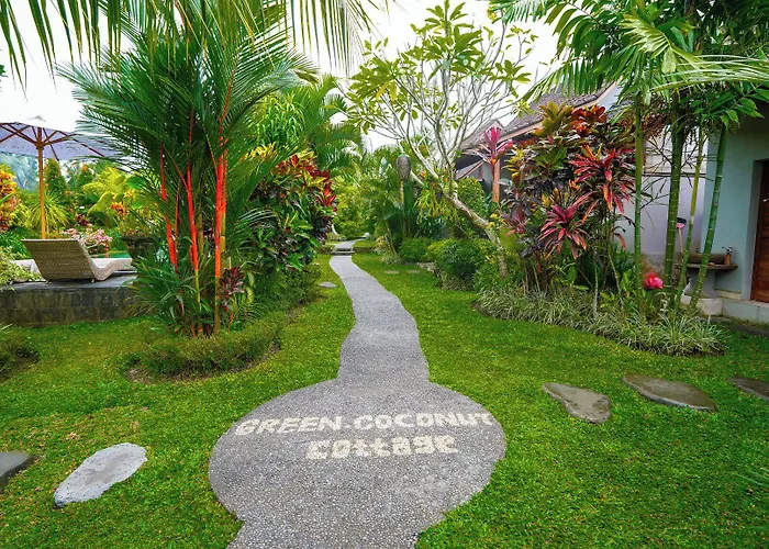 Coconut ウブド