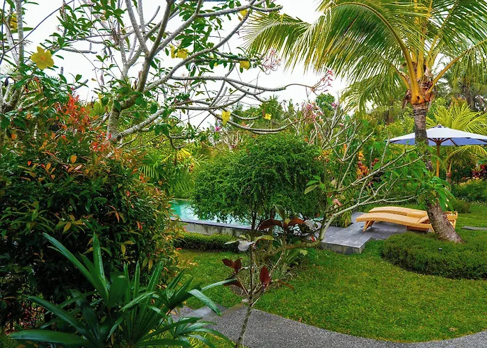 Coconut ゲストハウス 4*