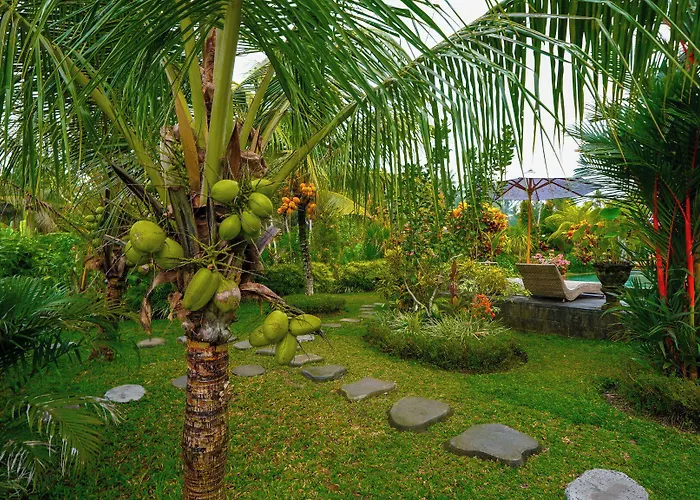 Coconut 4* ウブド